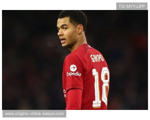 利物浦加克波反越位插上补射制胜球迷欢声雷动