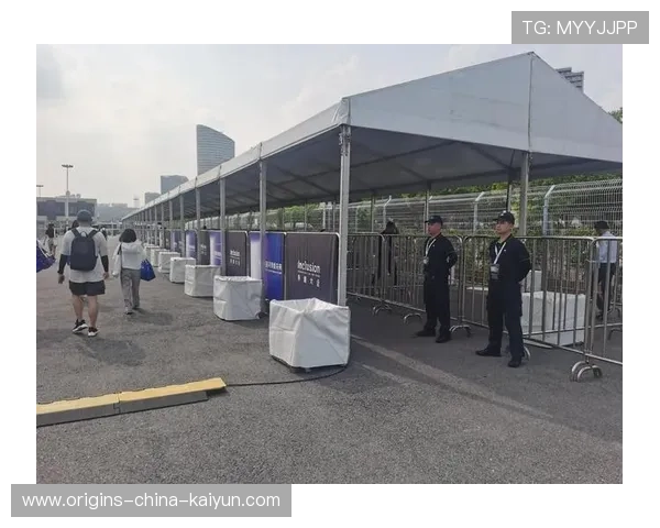 赛事安全：大型活动安保与突发事件应对案例回顾，大型活动安保问题及措施